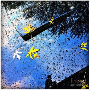 Autumn Raindrops Car Reflections by Frank J Casella