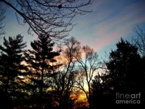 Bold Sunrise Pastel Sky - Photograh by Frank J Casella