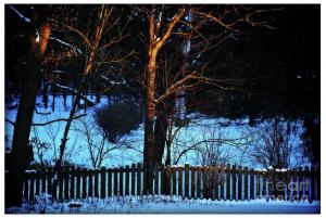 Golden Hour on the Fence by Frank J Casella