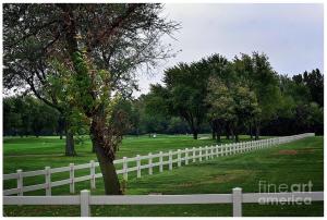 Fence on the Wooded Green by Frank J Casella