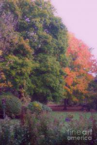 Autumn Art Photo Collection by Frank J Casella