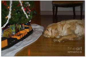 Christmas Train - Featured