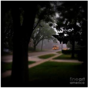 Foggy Morning Bus Ride - Photo by Frank J Casella