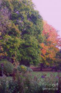 Weekly Feature - Orange Leaves Monet - By Frank J Casella