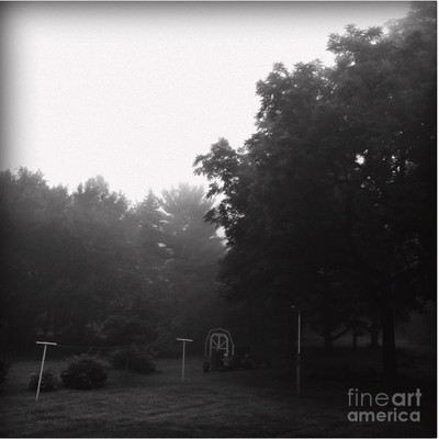 Backyard Morning Fog - Black and White