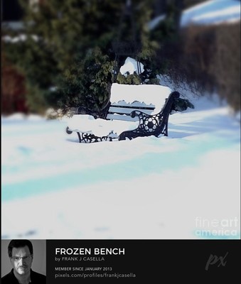 Frozen Bench
